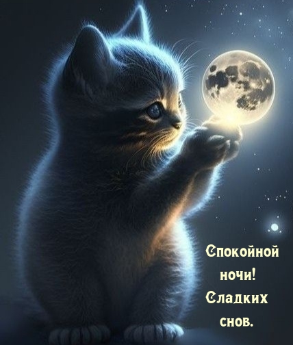 «Спокойной ночи, котенок»: картинки
