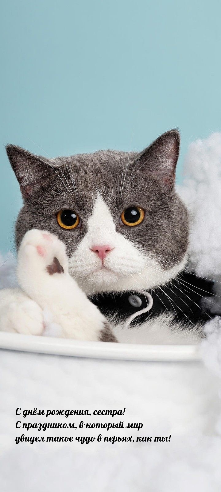 С днём рождения, сестра! С праздником