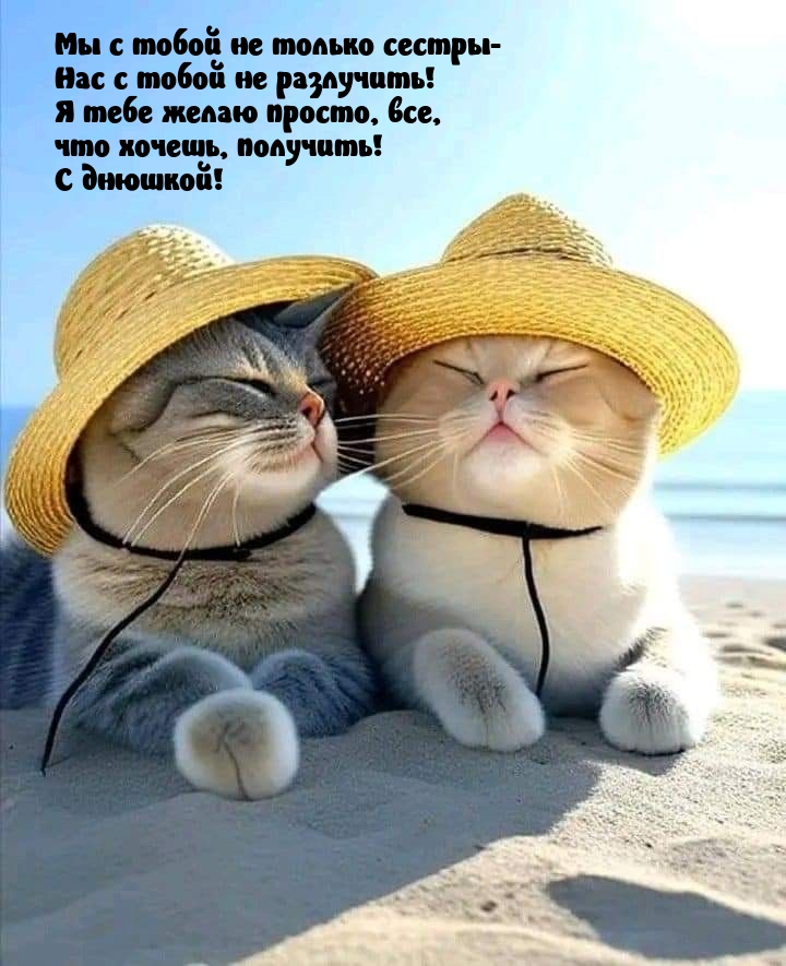 С днюшкой! Мы с тобой не только сестры - нас с тобой не разлучить!