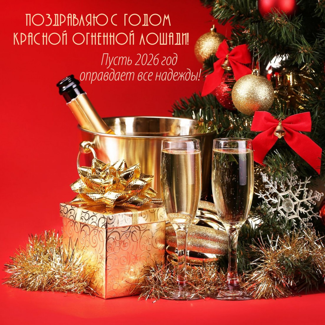 Пусть 2026 год оправдает все надежды!