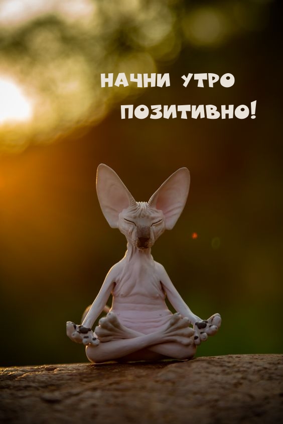 Картинки-приколы новые, смешные фото поржать на sapsanmsk.ru
